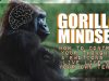 An Honest Review Of Gorilla Mindset Text