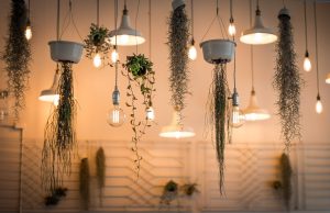 The Interior Design Career https://greenoasis.com/interior-plants-services/