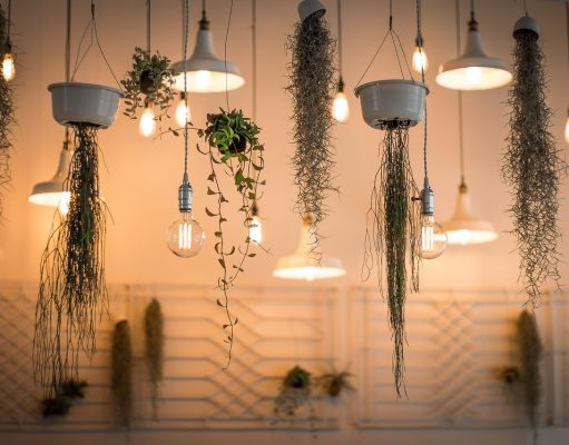 The Interior Design Career https://greenoasis.com/interior-plants-services/