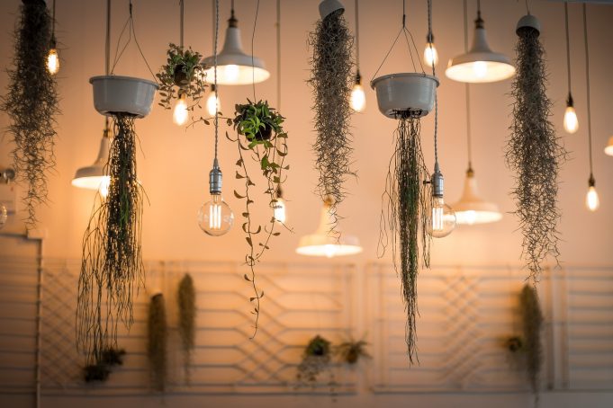 The Interior Design Career https://greenoasis.com/interior-plants-services/