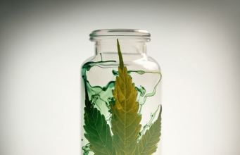 The Importance Of Health And Wellness dynavap