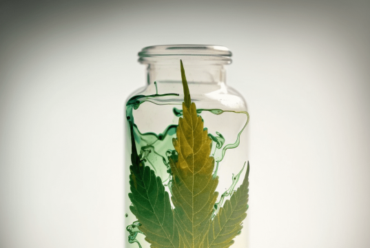 The Importance Of Health And Wellness dynavap